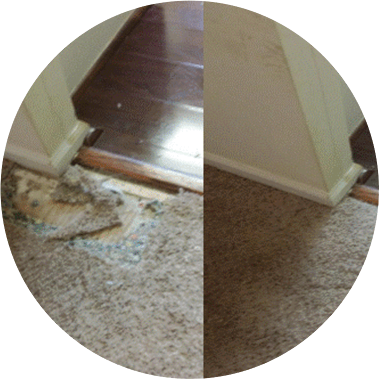 Carpet Repair | Flooring Expert