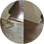 Carpet Repair | Flooring Experts | Dry Fresh Plus