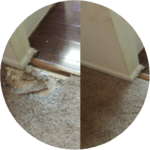 Flooring Experts - Carpet Repair | Dry Fresh Plus